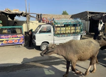 Pakistan