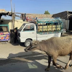 Pakistan