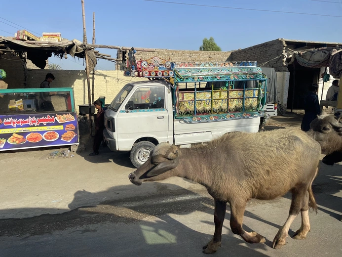 Pakistan
