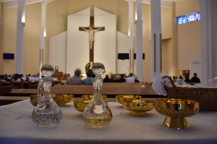 Promocja nowych nadzwyczajnych szafarzy Komunii Świętej 