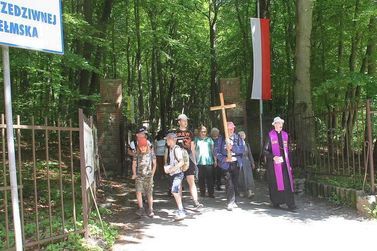 Pielgrzymka Świętych Gór