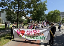 Katowice. X Marsz dla Życia i Rodziny [ZDJĘCIA]