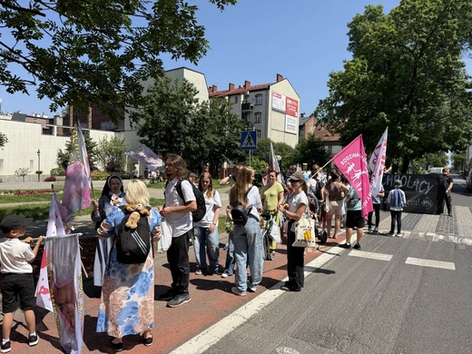 X Marsz dla Życia i Rodziny w Katowicach