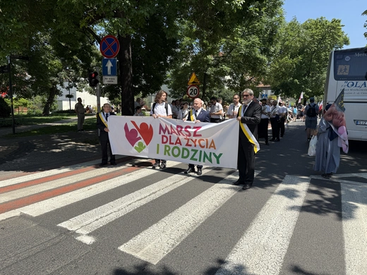 X Marsz dla Życia i Rodziny w Katowicach