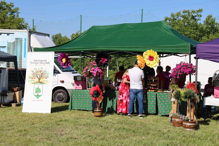 Marsz dla Życia i Rodziny w Koprzywnicy