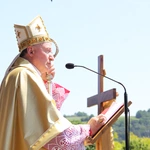 Stary Sącz. Diecezjalne Święto Rodziny 2025