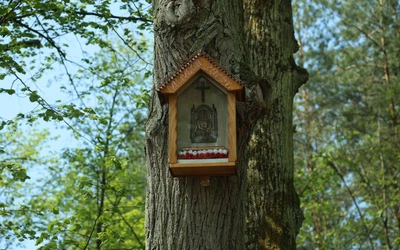 Są dla nas niczym piąta Ewangelia