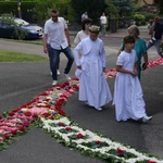 Ołtarze i kwietny dywan  na procesję Bożego Ciała w Zimnej Wódce