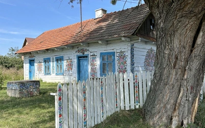 W Zalipiu