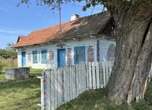 W Zalipiu