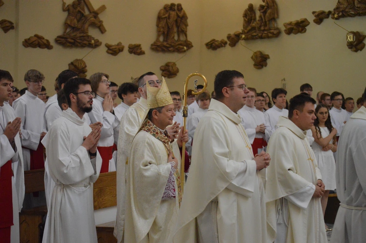 Ustanowienie animatorów ministranckich