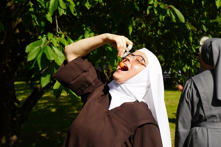 Czerwcowe spotkanie zespołu synodalnego osób konsekrowanych