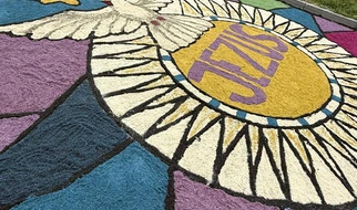 Dywany kwietne! Dla Jezusa!