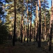 Brak tytułu