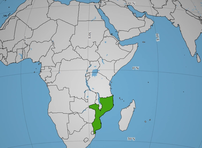 Mozambik: Dżihadyści porwali ponad 120 dzieci