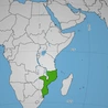 Mozambik: Dżihadyści porwali ponad 120 dzieci