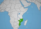 Mozambik: Dżihadyści porwali ponad 120 dzieci