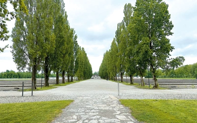 Na terenie KL Dachau mieściły się 34 baraki – mieszkalne i funkcyjne. 