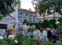 Wianuszki u reformatów w Chełmie