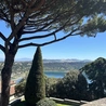 W pałacowych ogrodach Castel Gandolfo