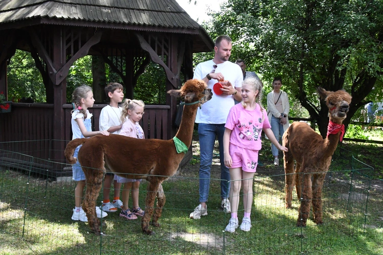 50 lat parafii św. Michała Archanioła na Grodzisku