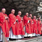W Eucharystii prócz nuncjusza uczestniczyli biskup opolski Andrzej Czaja, biskup gliwicki Sławomir Oder, biskupi pomocniczy diecezji opolskiej: Rudolf Pierskała i Waldemar Musioł, biskupi seniorzy: Jan Kopiec i Paweł Stobrawa, a także neoprezbiterzy.  