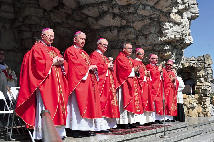 W Eucharystii prócz nuncjusza uczestniczyli biskup opolski Andrzej Czaja, biskup gliwicki Sławomir Oder, biskupi pomocniczy diecezji opolskiej: Rudolf Pierskała i Waldemar Musioł, biskupi seniorzy: Jan Kopiec i Paweł Stobrawa, a także neoprezbiterzy.  