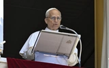 Leon XIV podkreśla aktualność ekologicznej encykliki Franciszka