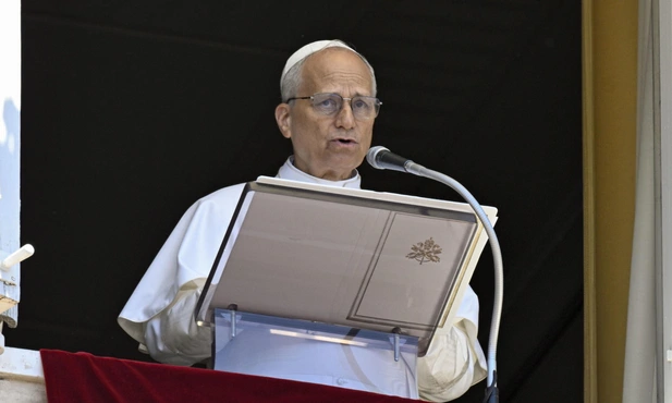 Leon XIV podkreśla aktualność ekologicznej encykliki Franciszka