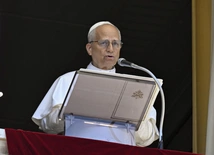 Leon XIV podkreśla aktualność ekologicznej encykliki Franciszka