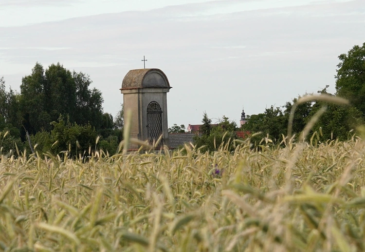 Szlak kapliczek poświęconych Matce Bożej Bolesnej w Głębowicach