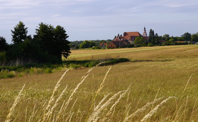 Szlak kapliczek poświęconych Matce Bożej Bolesnej w Głębowicach