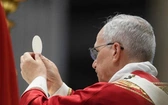 Opublikowano harmonogram najbliższych wydarzeń z udziałem Papieża