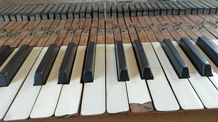 Remont 100-letnich organów Sauera w kościele uniwersyteckim we Wrocławiu