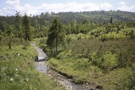 Zainaugurowano 13. edycję „Ewangelizacji w Beskidach”