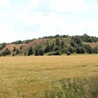 Opowieść hałdowa