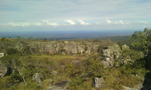 Werbistowski Wolontariat Misyjny APOLLOS