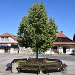 Lipnica Murowana czeka na pielgrzymów
