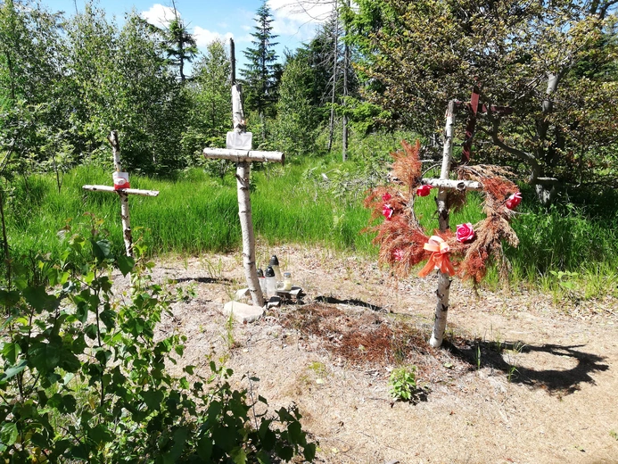 Na stokach wznoszącej się na Kamesznicą Baraniej Góry