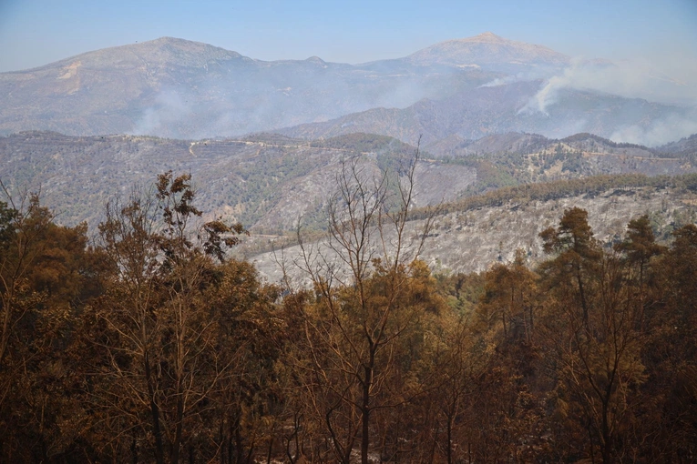 Syria: Ponad 30 osób zginęło w starciach na tle religijnym