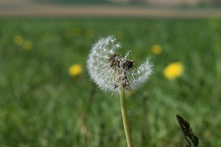 Bezpieczne Wakacje - Mów. Czuj. Działaj