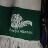 Wraca piłkarska ekstraklasa