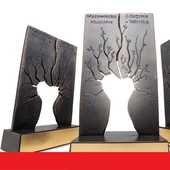 Konkurs "Mazowieckie zdarzenia muzealne - Wierzba" rozstrzygnięty