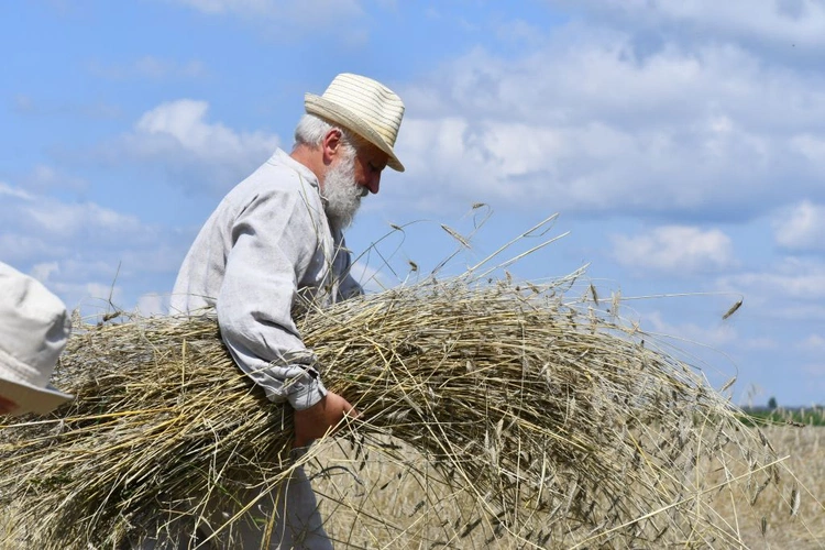 "Jak to z chlebem było?" w Białkowie