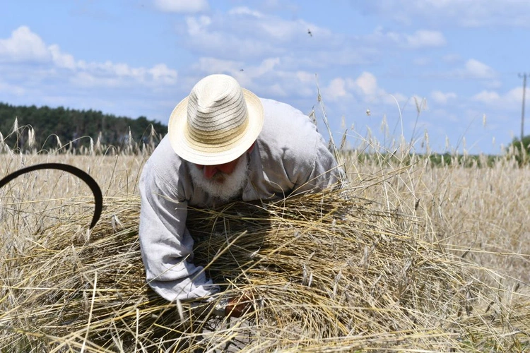 "Jak to z chlebem było?" w Białkowie