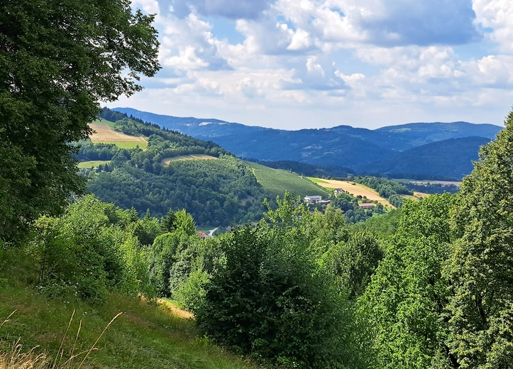 Św. Kinga była w Żmiącej osobiście