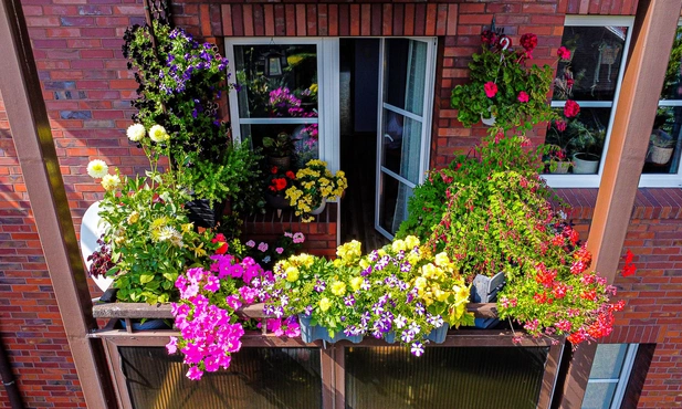 Katowice. 5. edycja konkursu na najpiękniejszy katowicki balkon