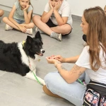 Dogoterapia w Caritas - cz. 1