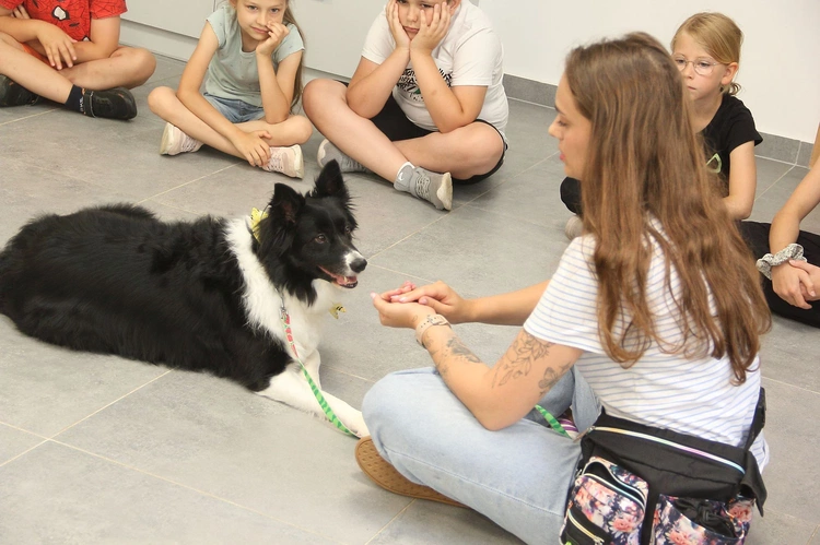 Dogoterapia w Caritas - cz. 1