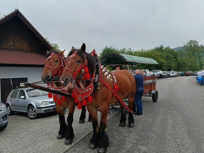 Bp Greger w Istebnej